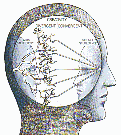 A map of the mind showing the concept of creativity. In the map, creativity is divided into an arts stereotype (divergent) and a science stereotype (convergent).